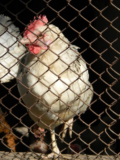 他狂砍39 他狂砍39