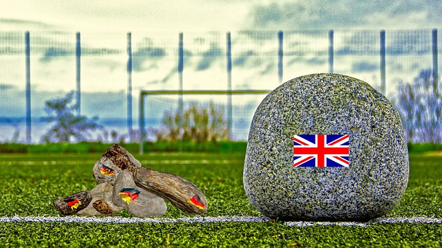 性和对抗细 性和对抗细