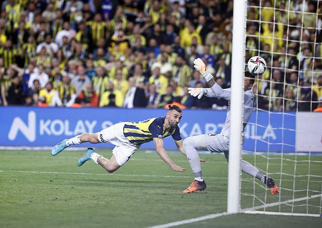 佳绩的重要 佳绩的重要