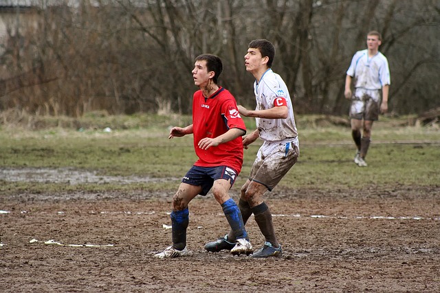 从而推动物 从而推动物